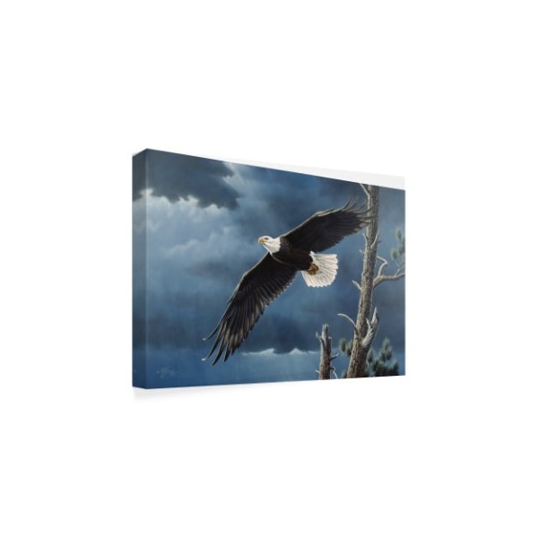 Wilhelm Goebel 'Soaring Wings' Canvas Art,30x47